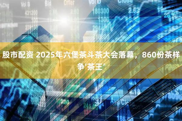 股市配资 2025年六堡茶斗茶大会落幕，860份茶样争‘茶王’